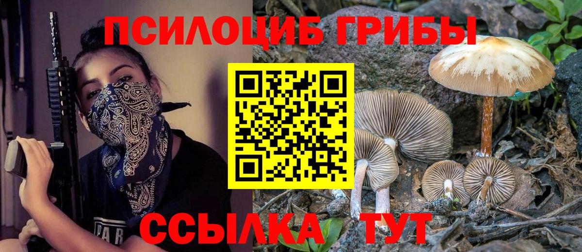 Сланцы  Псилоцибиновые грибы GOLDEN TEACHER  Вход с VPN 